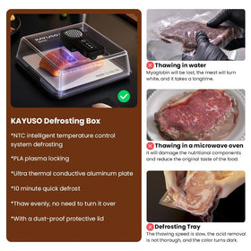 Kayuso defrosting tray with lid demonstrates containment and sanitation during defrosting.