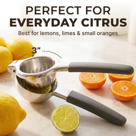 KENSINGTON LONDON citrus squeezer handles lemons, limes, and oranges.