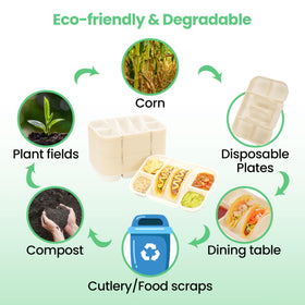 Kiicii biodegradable cornstarch plates offer eco friendly convenience.