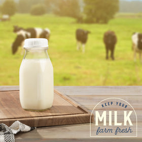 Kitchentoolz 12 oz milk bottle with tamper-proof lid for freshness