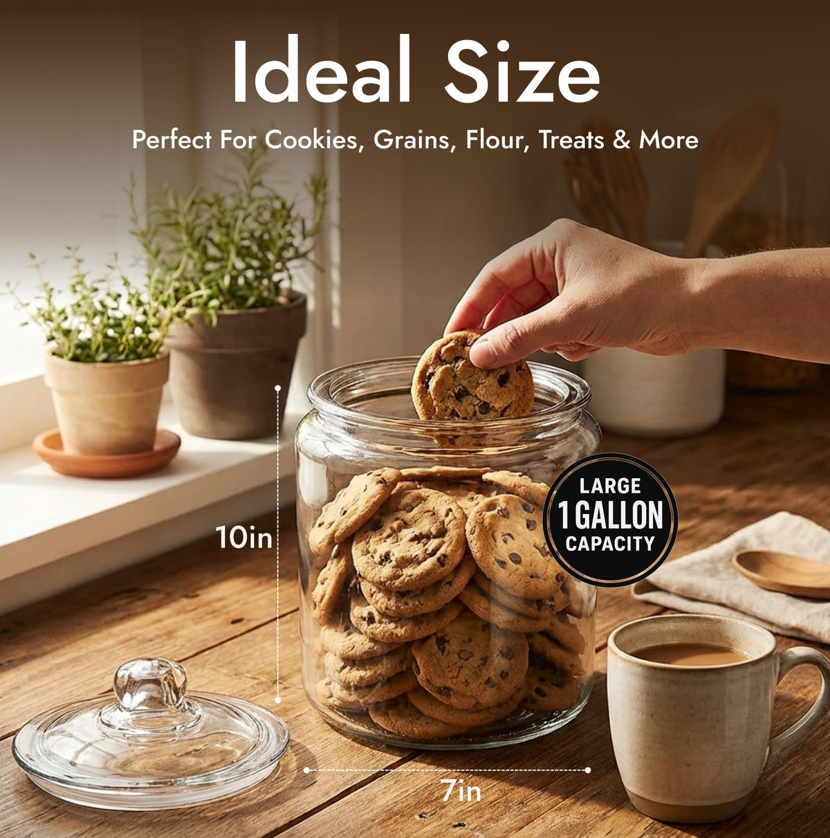 kitchentoolz decorative transparent jar adds style while keeping ingredients organized
