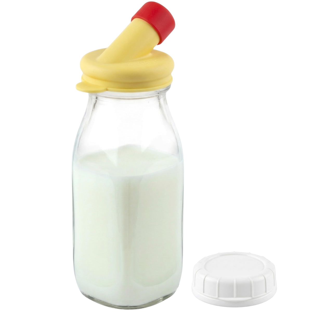 Kitchentoolz glass creamer bottle with pour spout for easy pouring