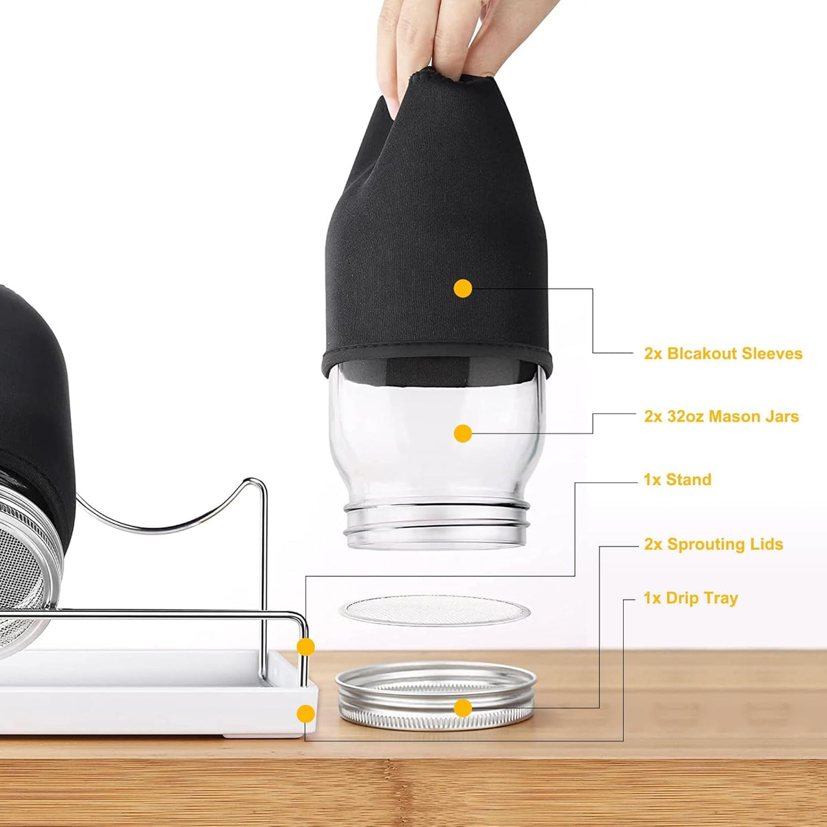 Kitmiido drip tray catches runoff for a clean sprouting setup.