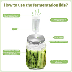 Klemon glass weights keep vegetables submerged for even fermentation.