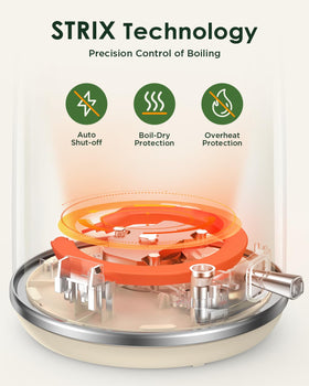 KOIOS detachable scale-filter lid keeps pours clean.