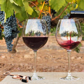 KORCCI wine opener is a reliable companion for parties and casual gatherings.
