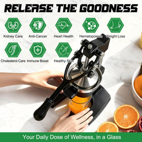KVZKVZ dishwasher-safe-components simplify post-juicing cleanup.