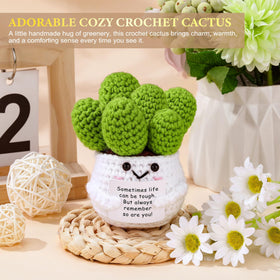 Launrada crocheted cactus offers a cheerful, lasting keepsake for encouragement.