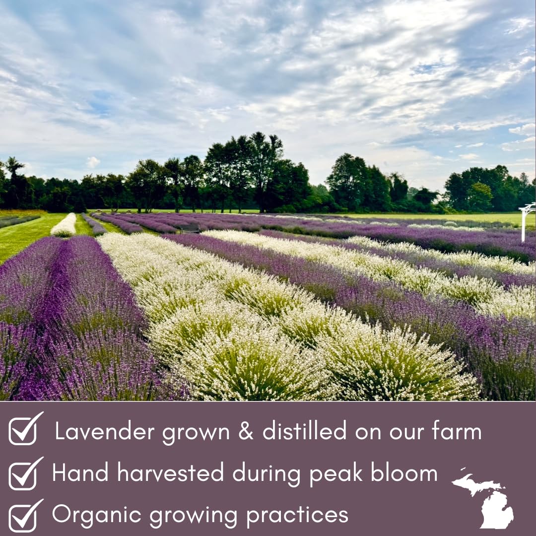 Lavender Lane garnish for cocktails inspires stylish at-home entertaining.