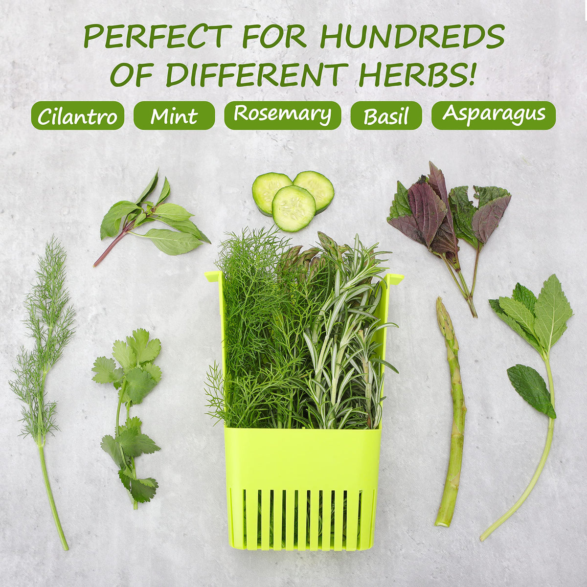 LAWNFUL BPA-free material highlights safe kitchen use.