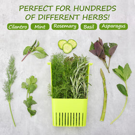 LAWNFUL BPA-free material highlights safe kitchen use.