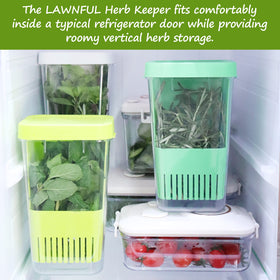 LAWNFUL herb keeper in use in fridge, keeping cilantro and parsley fresh longer.