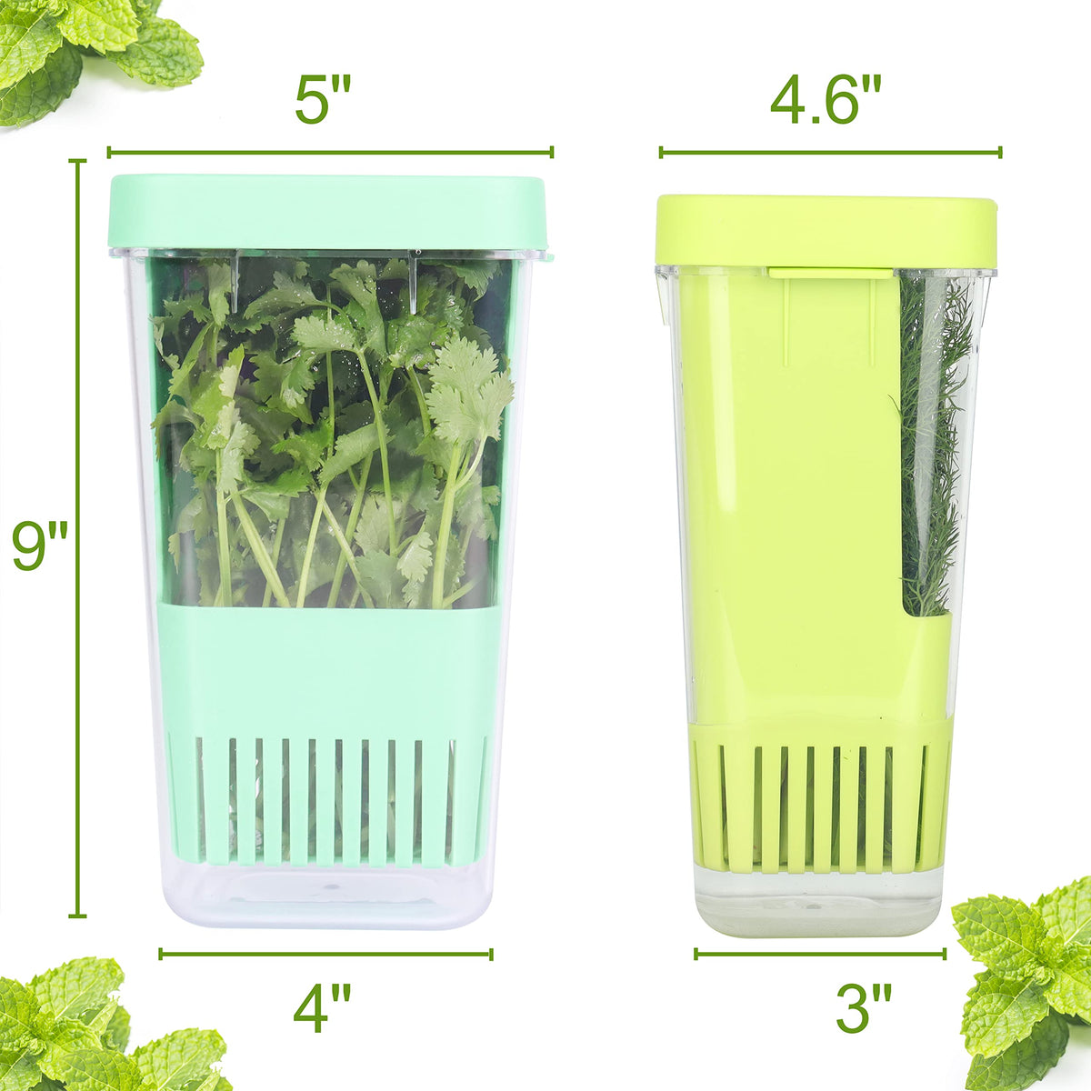 LAWNFUL herb keeper with removable divider for organizing multiple herbs.