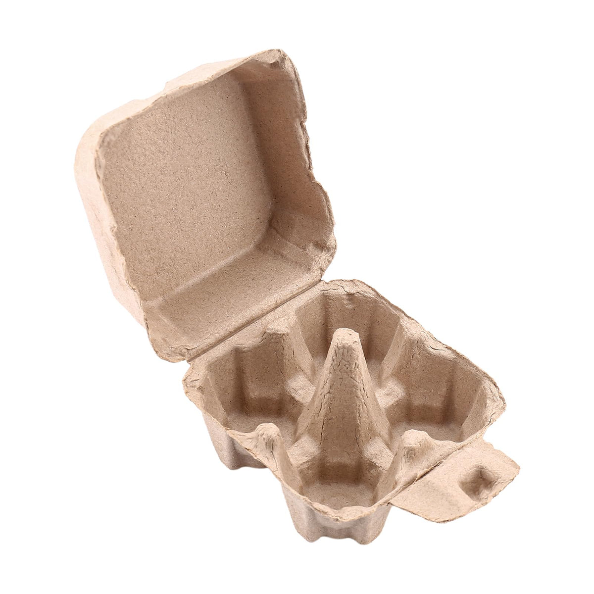 LayHyand recycled pulp cartons offer eco-friendly packaging.
