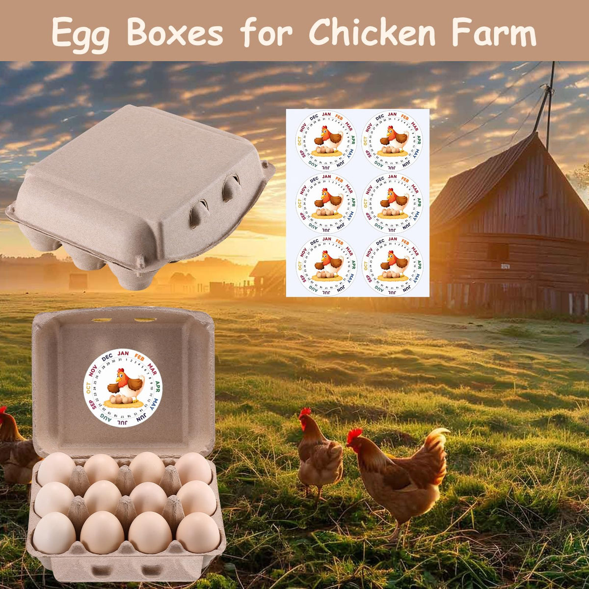 LayHyand recyclable egg carton packaging supports sustainable egg delivery.
