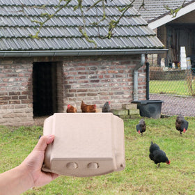 LayHyand recycled-pulp egg cartons made to be eco-friendly and sturdy.
