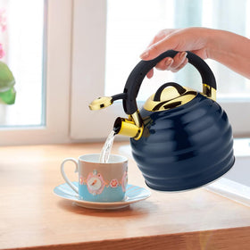 Durable 5-layer bottom Lazneyru kettle for even heating