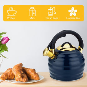 Heat-proof Lazneyru kettle body for daily stovetop use