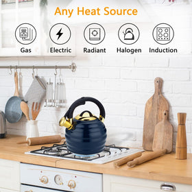 Induction-ready Lazneyru kettle base delivering even heat
