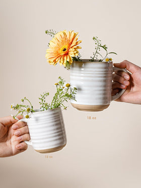 LE TAUCI set featured in a cozy kitchen scene for gifting inspiration