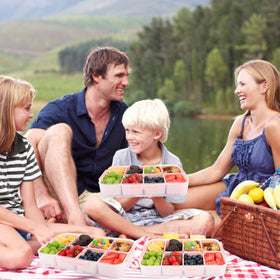 Leafpool Snackle Box portable-handle enables easy carrying to picnics and trips.