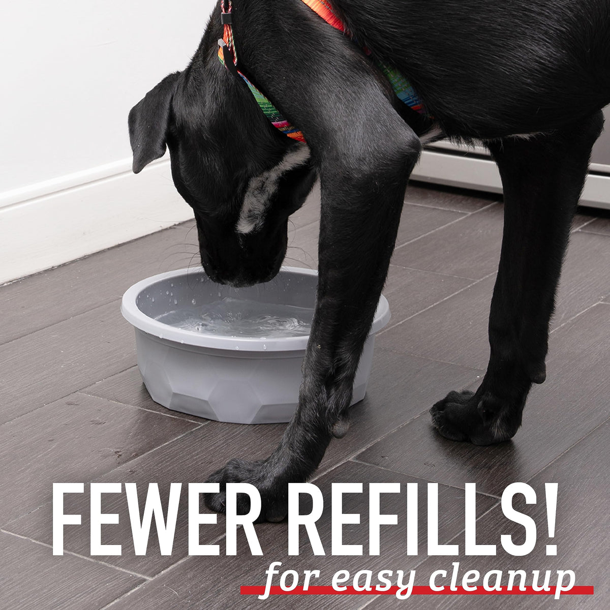Leash Boss dishwasher-safe food bowl for quick cleaning and safe materials.