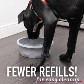 Leash Boss dishwasher-safe food bowl for quick cleaning and safe materials.