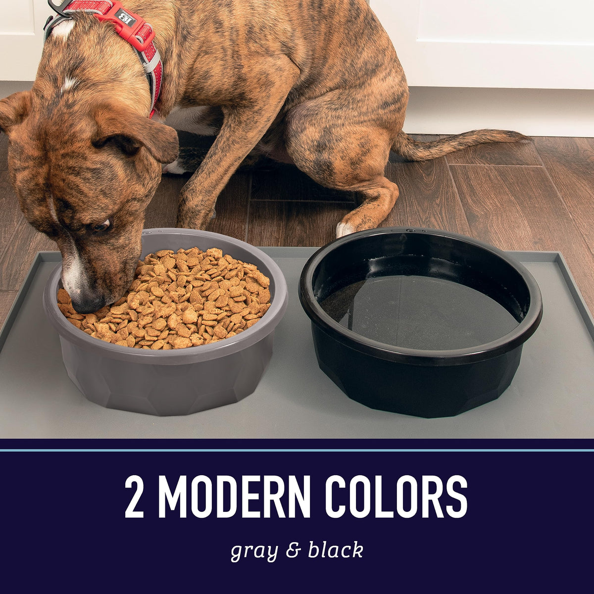 Leash Boss hex-pattern dish complements modern decor while feeding big dogs.