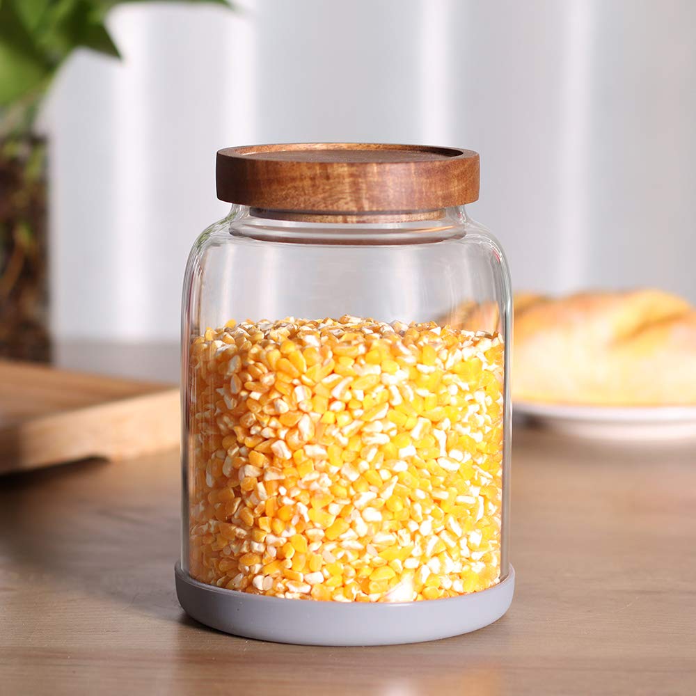 Leaves and Trees Y coffee bean storage jar for fresh aroma and easy access.