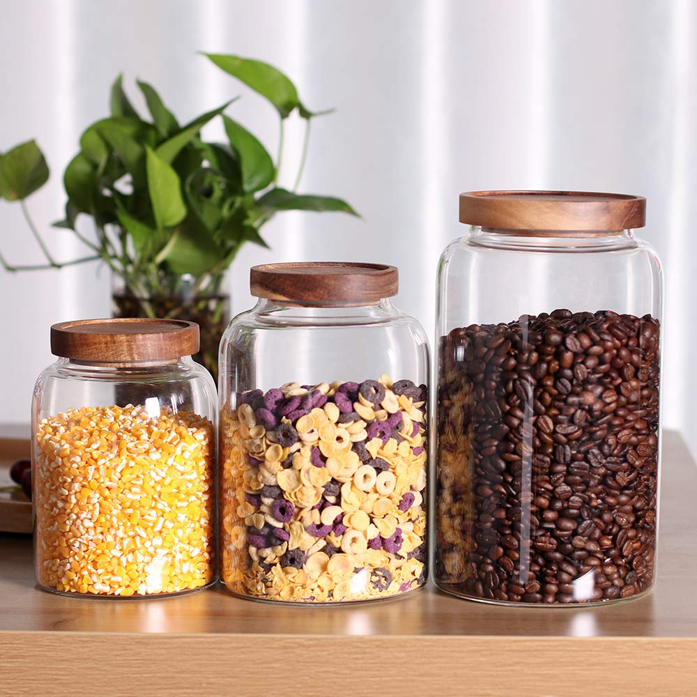 Leaves and Trees Y dishwasher-safe glass canister for modern pantry.