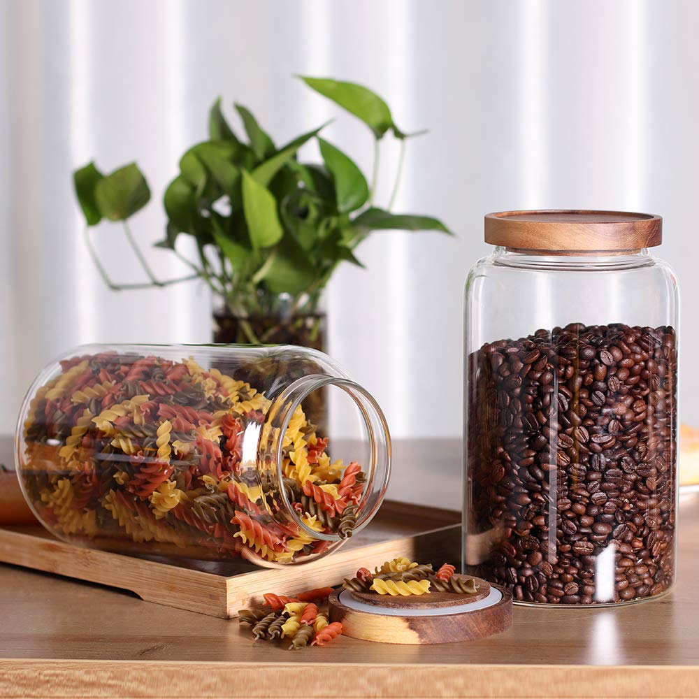 Leaves and Trees Y gift-ready storage jar pack for holidays