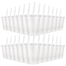 LEIFEOSH 24-pack tumblers with lids and straws for parties