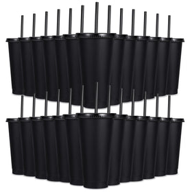 LEIFEOSH 24-pack tumbler with lids and straws for cold drinks and parties