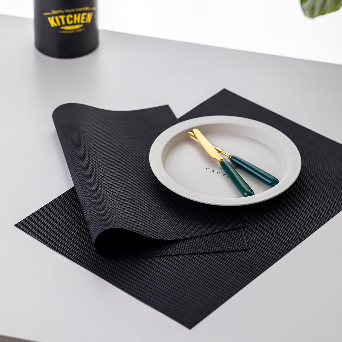 LEXMORE placemats set4 ideal for elegant tables and easy care
