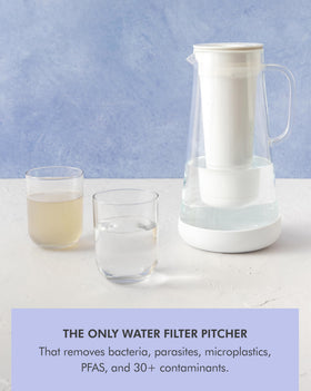 LifeStraw Home glass-base shot emphasizes durable, easy-to-clean design.