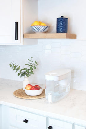 LifeStraw Home on refrigerator shelf for easy daily hydration