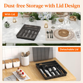 Lifewit silverware organizer with lid transparent lid shows contents at a glance.