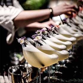LINALL elegant glassware highlighting sophisticated table setting and drinks.