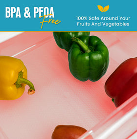 Linda's Essentials EVA material is BPA-free and durable for daily fridge use.