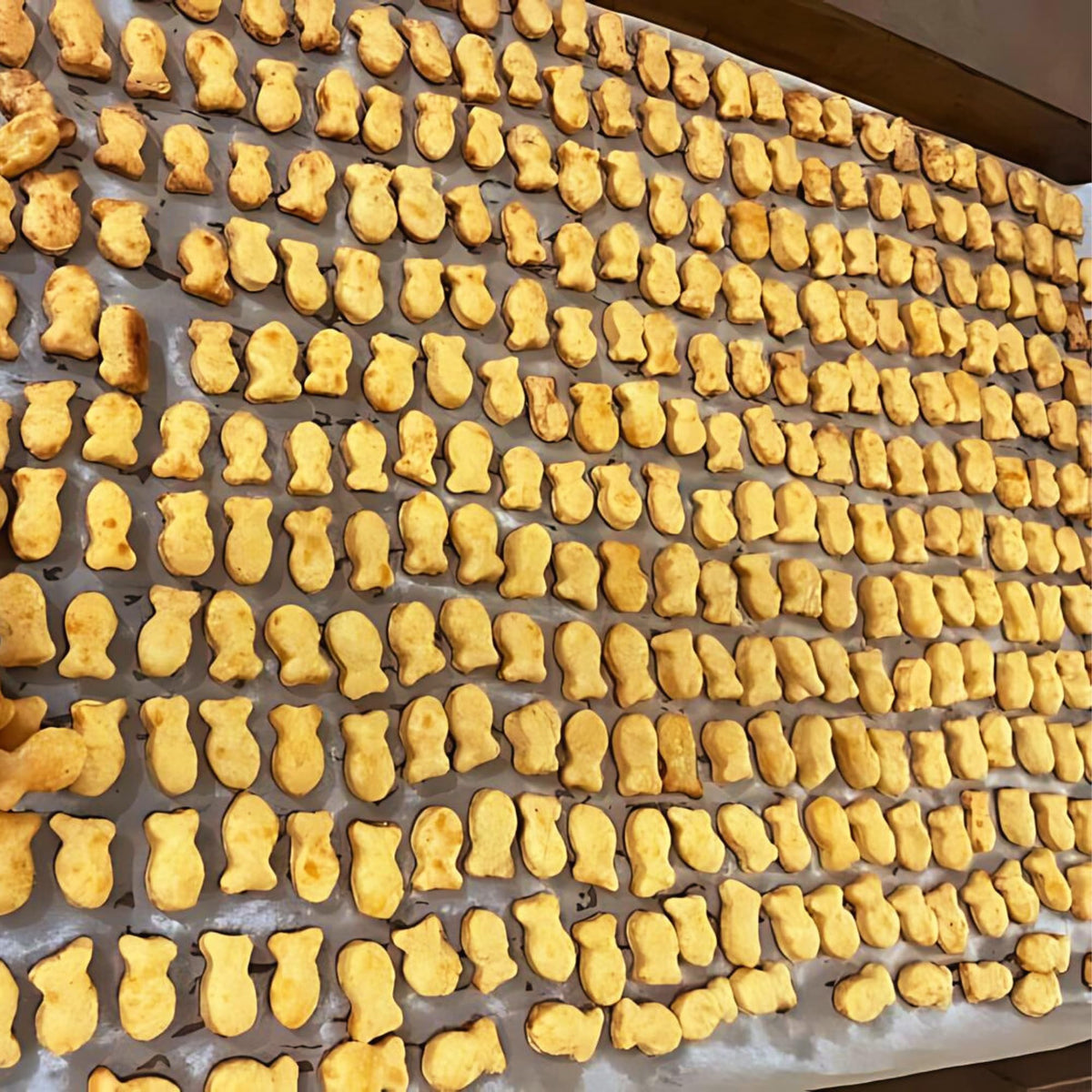 Littledeerco inspires kids with goldfish-shaped snacks using the cutter.