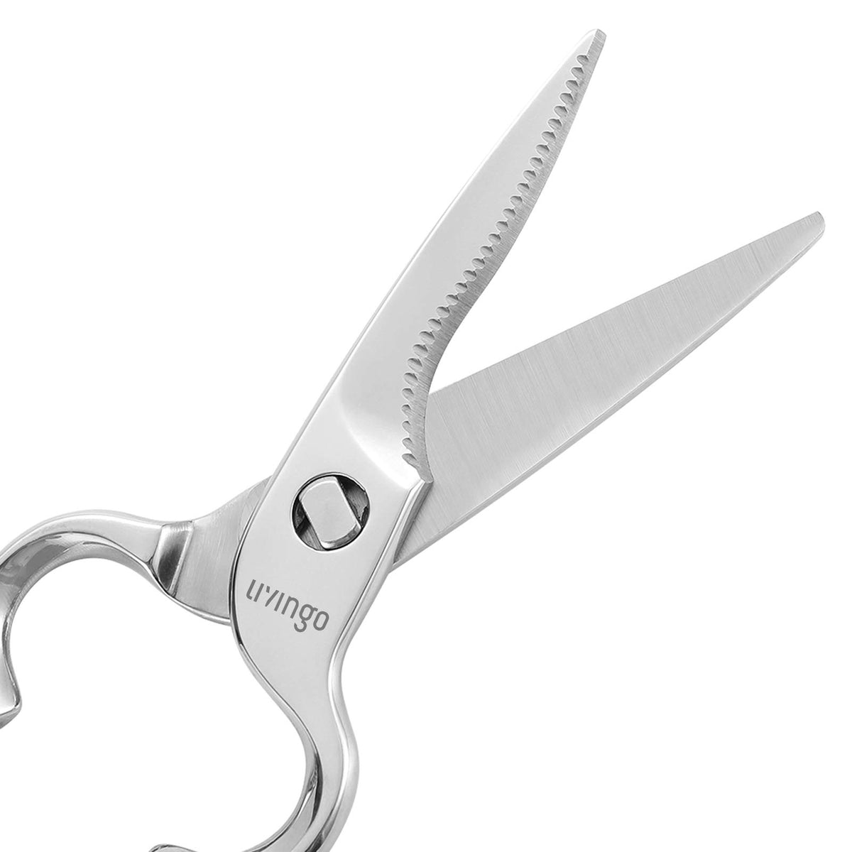 Livingo kitchen shears nut-cracker in use on nuts