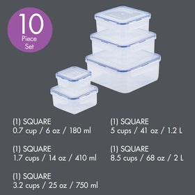 LocknLock 41-ounce container demonstrates secure, airtight food preservation.