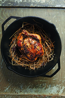 Lodge cast iron skillet ready for oven, stove, grill, or campfire use