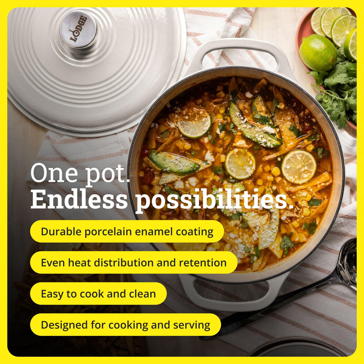 Lodge enamel cast iron Dutch oven ideal for braising with steady heat
