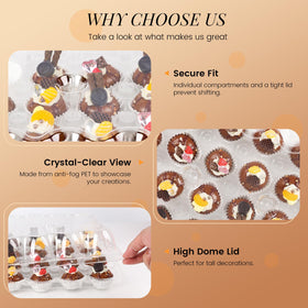 LOKQING BPA-free PET cupcake container ensures safe reuse and presentation
