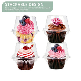LOKQING airtight dome lid cupcake box secures freshness during transport.