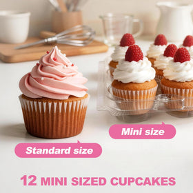 LotFancy transport-ready containers ideal for bakeries and events