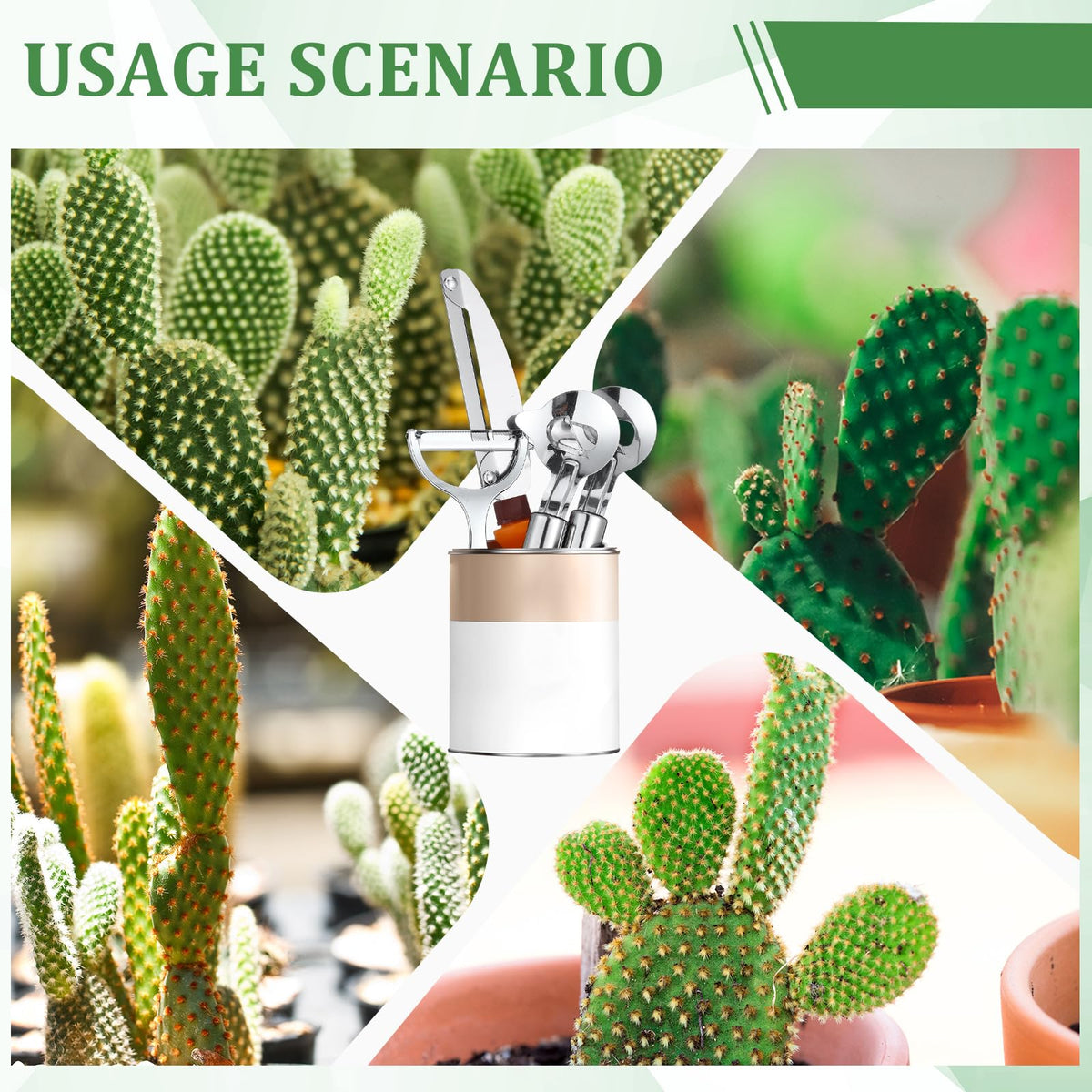 Lothee cactus peeler set hanging hole design for easy storage