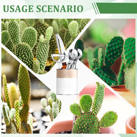 Lothee cactus peeler set hanging hole design for easy storage