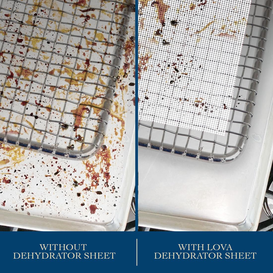 Lova 12-pack dehydrator sheets lined on racks enables full-load batch drying